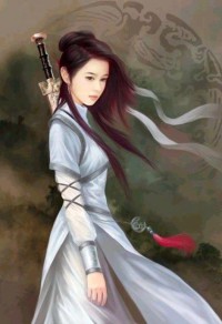 盗世奸雄